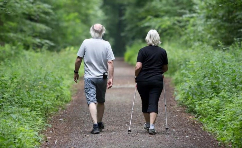 WEB21-older couple walking in forest-1800x600