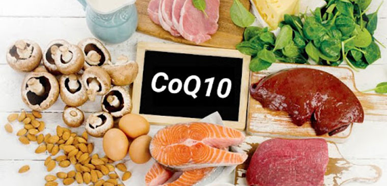 CoQ10 đã được chứng minh có chức năng cải thiện các tình trạng làm giảm nguy cơ suy tim sung huyết, giảm huyết áp, thậm chí khi kết hợp cùng các chất dinh dưỡng khác, giúp hồi phục nhanh hơn đối với những bệnh nhân phẫu thuật van tim.