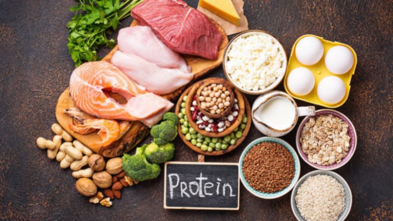 Các nguồn protein như thịt gà, cá và đậu phụ cung cấp các chất dinh dưỡng quan trọng như sắt, kẽm và vitamin B12.