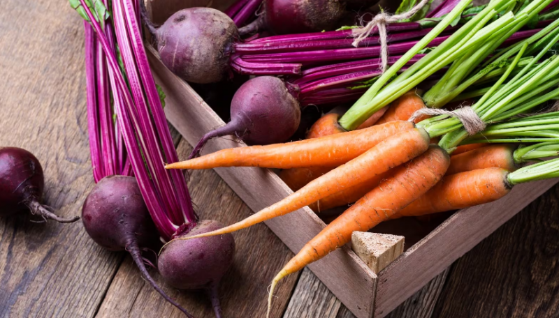 Thêm cà rốt vào chế độ ăn hỗ trợ tăng khả năng đề kháng của cơ thể
