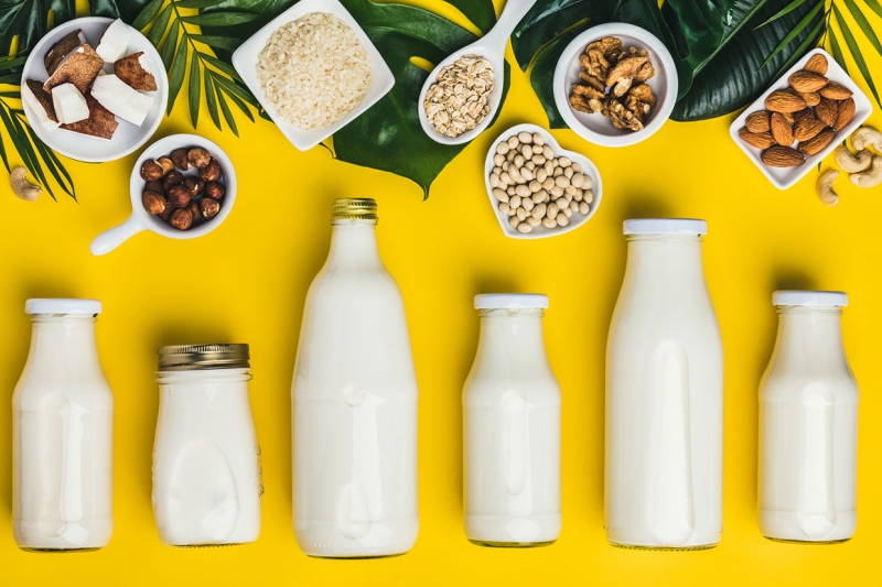 Sữa hạt góp phần giảm tác động của quá trình chăn nuôi đến môi trường 
