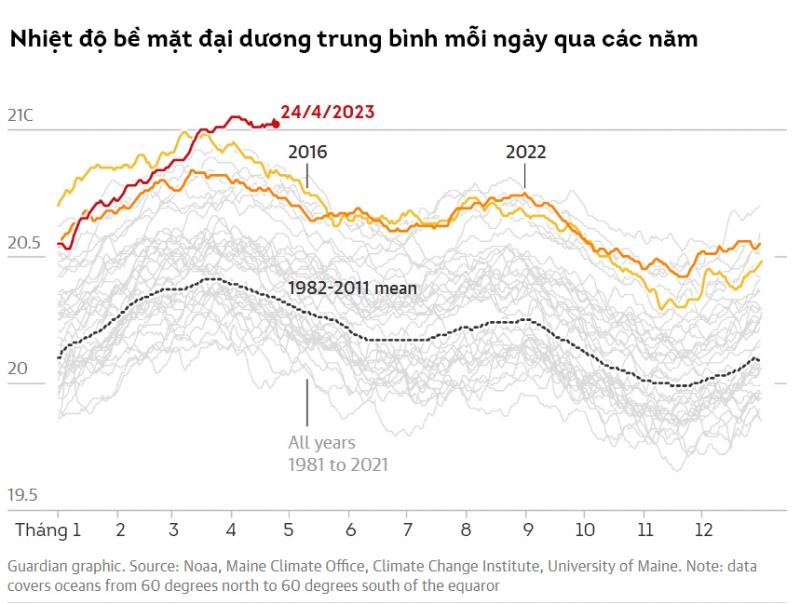Nhiệt độ trung bình của bề mặt đại dương liên tục phá vỡ kỷ lục - Ảnh: The Guardian