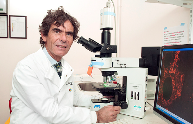 Giáo sư Paolo Madeddu, Chuyên gia Y học tim mạch Thực nghiệm từ Viện tim mạch Bristol thuộc Đại học Bristol - Ảnh: BHF