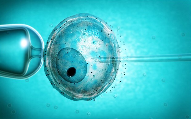 Kỹ thuật MDT sử dụng mô từ trứng của người hiến tặng nữ khỏe mạnh để tạo ra phôi IVF không mang đột biến có hại và đưa vào người mẹ - Ảnh: Telegraph