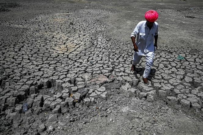 Lòng hồ khô cạn do hạn hán tại làng Bandai, huyện Pali, Ấn Độ, ngày 11/5/2022 - Ảnh: AFP