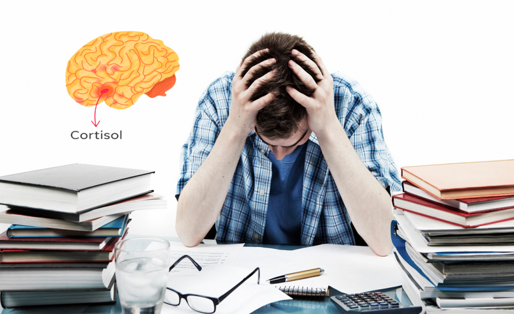 Stress có thể gây ra những tác động tiêu cực với não bộ trẻ tuổi teen