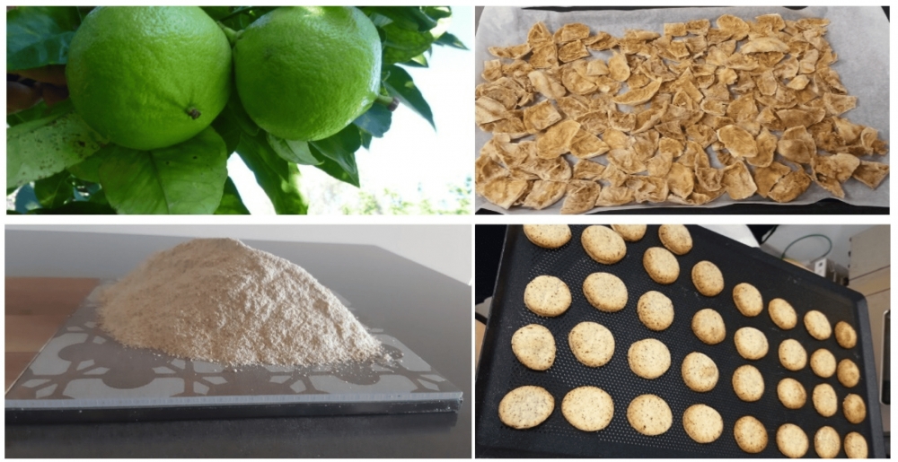 Các sản phẩm chế biến từ bột và bã xơ của cam bergamot có nhiều tiềm năng về sức khỏe