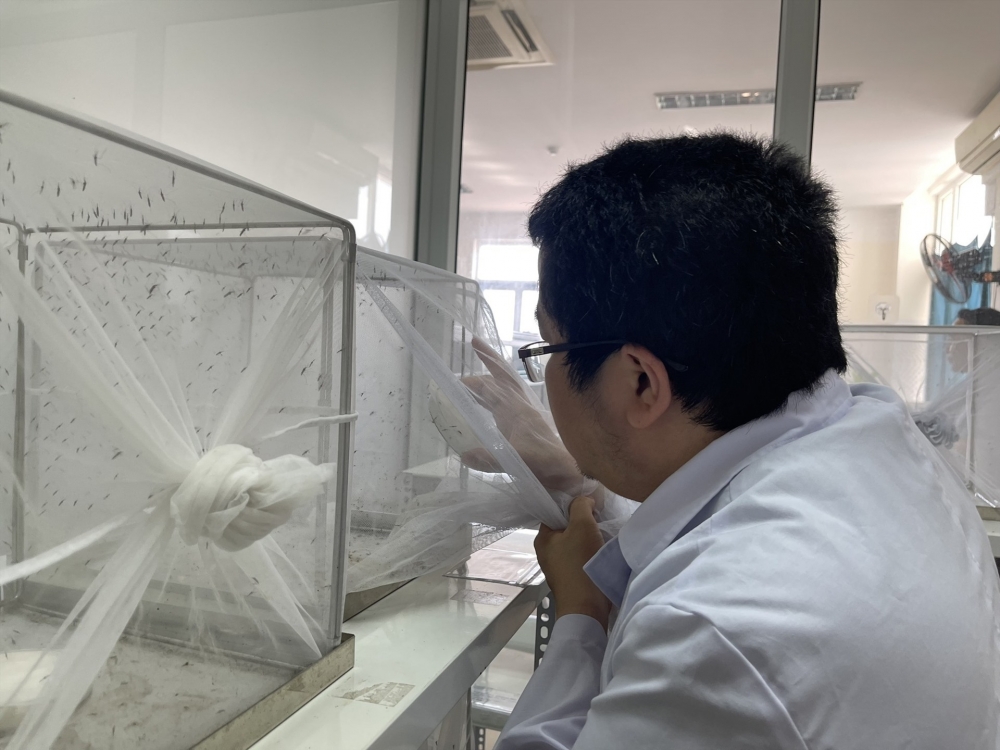 Các chuyên gia nghiên cứu về muỗi truyền bệnh trong phòng thí nghiệm
