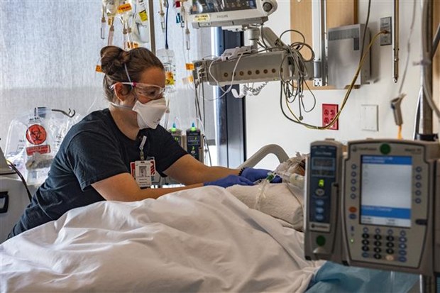 Nhân viên y tế đang điều trị cho bệnh nhân nhiễm COVID-19 tại bệnh viện ở Worcester, Massachusetts (Mỹ) - Ảnh: AFP