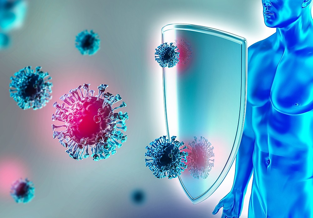 Nhiều nghiên cứu cho thấy các hoạt chất sinh học từ tự nhiên có khả năng giúp nâng cao hệ miễn dịch của cơ thể, chống lại các tế bào Ung thư