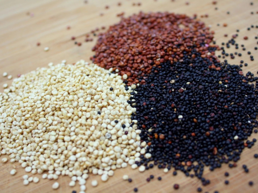 Hạt quinoa có 3 màu, không khác biệt nhiều về dinh dưỡng nhưng hương vị có sự khác nhau