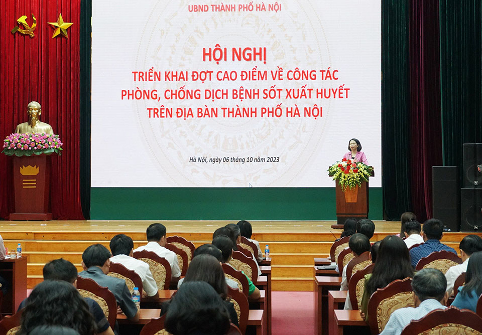 Phó Chủ tịch UBND TP Vũ Thu Hà chỉ triển khai đợt cao điểm về công tác phòng, chống dịch bệnh sốt xuất huyết