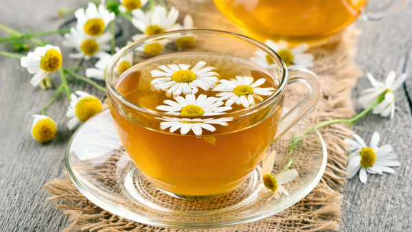 Trà hoa cúc là một loại trà thảo mộc có tính hàn, có tác dụng thanh nhiệt, giải độc.