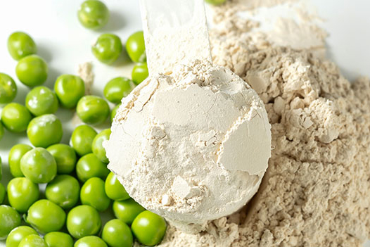 Bột protein đậu Hà Lan không chứa gluten, lactose nên ít gây dị ứng hơn bột whey