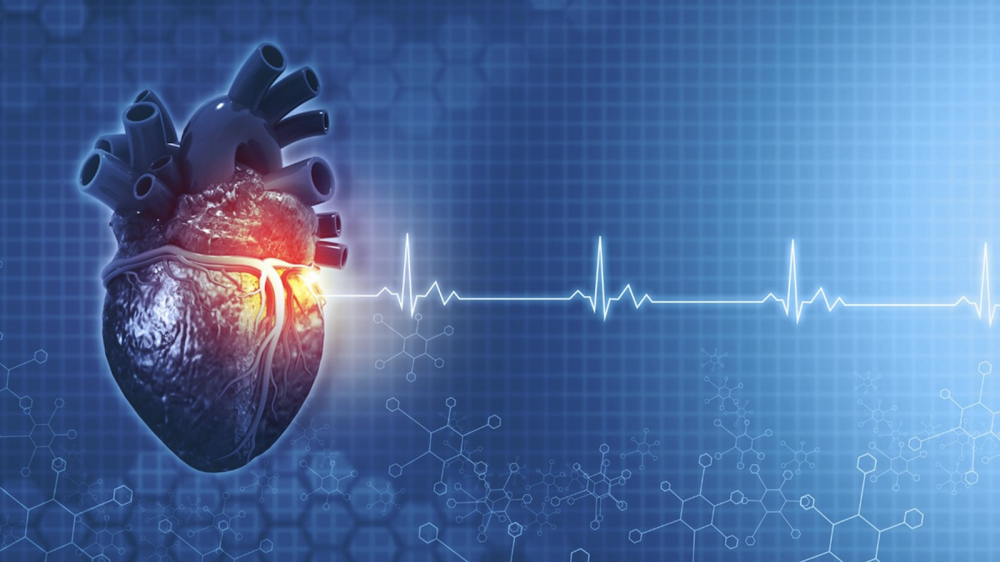 Bệnh rung nhĩ là dạng rối loạn nhịp tim nhanh phổ biến