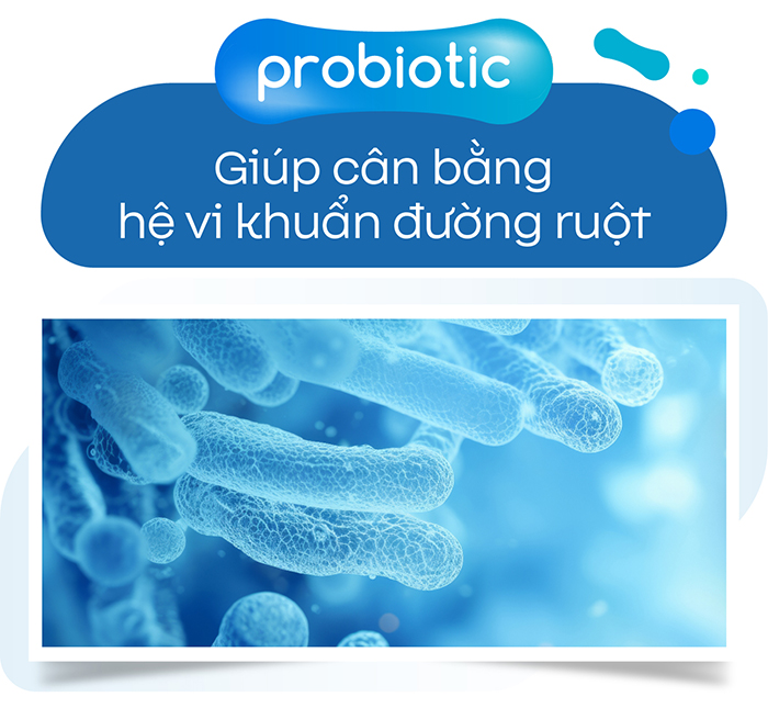 Probiotic-04