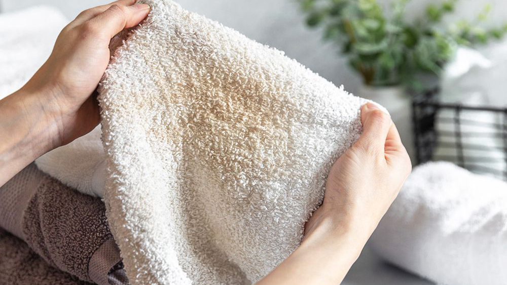 Độ ẩm cao khiến khăn tắm dễ bị ố vàng, nấm mốc và lên mùi khó chịu