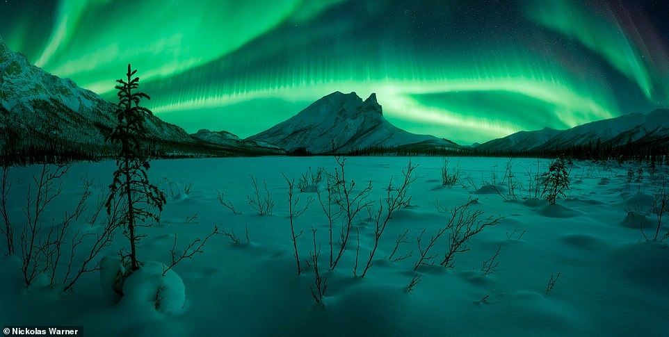 Màn trình diễn ánh sáng phương Bắc màu xanh lá cây trên Núi Sukakpak, một phần của Dãy núi Brooks ở Alaska, Mỹ. Tác phẩm của nhiếp ảnh gia Nickolas Warner.