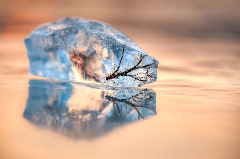 Bức ảnh Hóa thạch băng được nhiếp ảnh gia Piet Haaksma ghi lại trong một lần bắt gặp một cành cây nhỏ bị đóng băng ở Hà Lan.