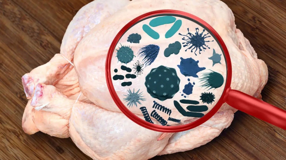 Thịt gia cầm dễ nhiễm tụ cầu khuẩn, salmonella, E.Coli có nguy cơ gây ngộ độc thực phẩm