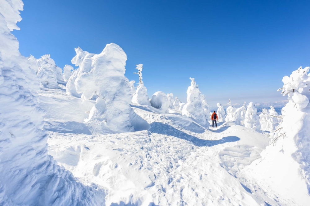Núi Zao, Nhật Bản: Là một trong những ngọn núi nổi tiếng nhất ở Nhật Bản, núi Zao được biết đến với những con quái vật tuyết. Chúng là những hình dạng kỳ lạ xuất hiện vào giữa mùa đông, hình thành sau khi băng bắt đầu tụ lại trên cây và sau đó bị tuyết bao phủ. Cả một rừng nhân vật kỳ dị này đủ để khiến bất cứ ai cũng phải rùng mình. 