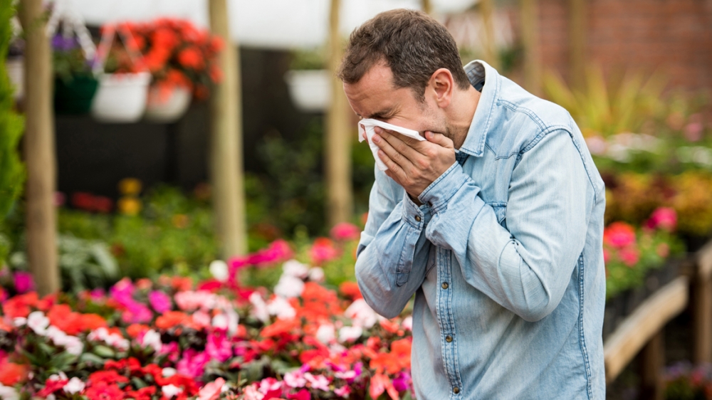 Dị ứng thời tiết hoặc tiếp xúc với phấn hoa là nguyên nhân phổ biến gây ngứa cổ họng  