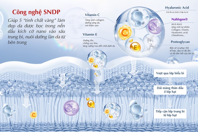 Công nghệ Thâm nhập Phân tán độc quyền của Sugi (SNDP) được ứng dụng trong bộ sản phẩm Prieclat U - Nguồn: OmiCare
