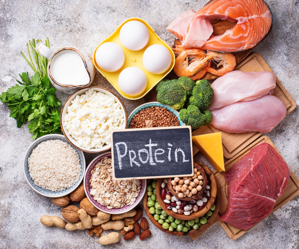 Protein là yếu tố quan trọng để duy trì cơ bắp và kiểm soát cân nặng