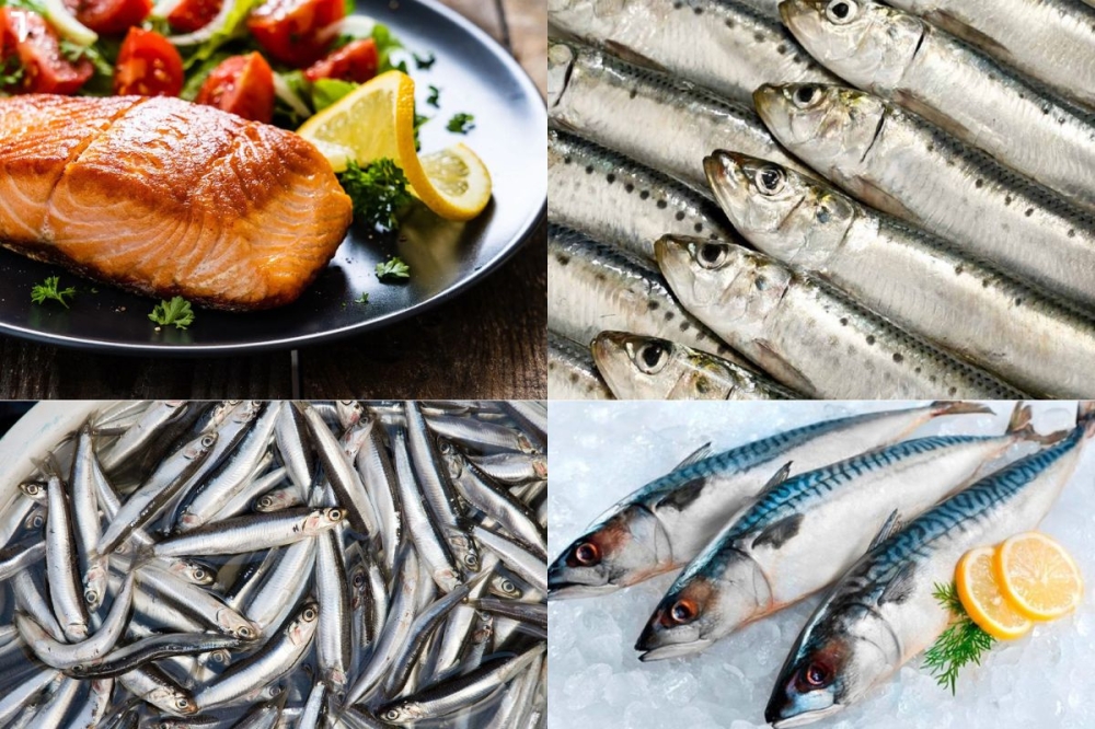 Cá ngừ, cá hồi, cá thu, cá trích hay cá mòi giàu omega-3 giúp tăng cường sức khỏe tim mạch. Ảnh: Tép bạc