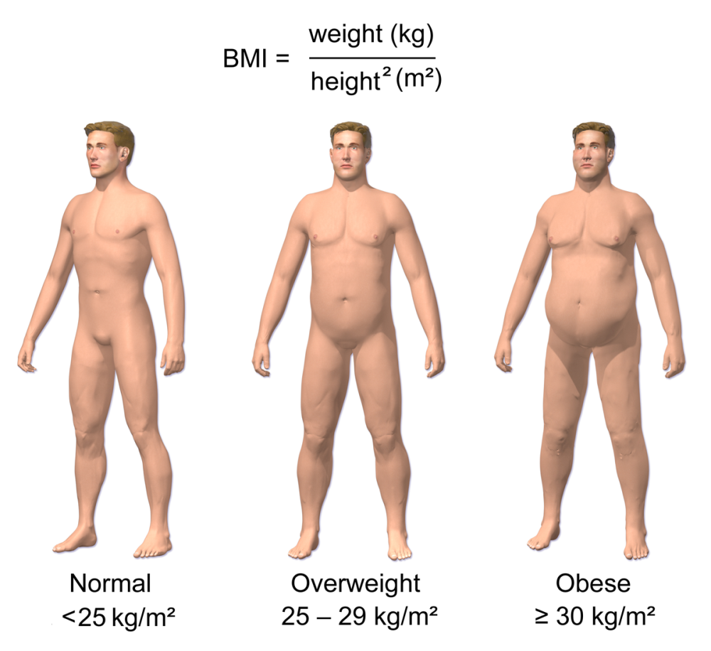 Chỉ số BMI khỏe mạnh là từ 18,5 đến 24,9, thừa cân là từ 25 đến 29,9 và béo phì là từ 30 trở lên. 