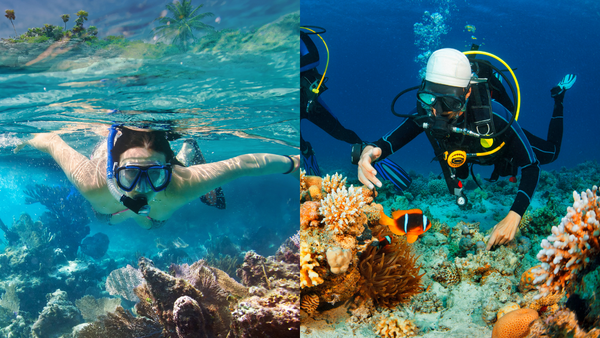 Lặn biển giúp bạn được đắm mình giữa lòng đại dương, vây quanh bởi nhiều đàn cá và rạn san hô nhiều màu sắc.
