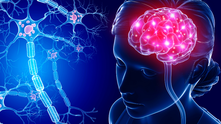 Thuốc kích thích thần kinh tác động vào hệ thống thần kinh trung ương, giúp thay đổi chức năng dẫn truyền