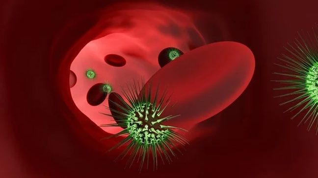 Vi khuẩn gây viêm phổi có thể xâm nhập vào máu, gây nhiễm trùng máu
