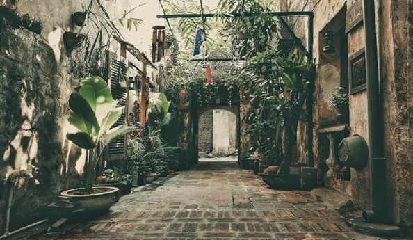 Bước qua cách cổng nhỏ là khung cảnh nên thơ, quán còn níu giữ người ta bởi những giai điệu của các bản nhạc Trịnh mang đầy hoài niệm giữa phố thị xô bồ - Ảnh: Cafe Cuối Ngõ