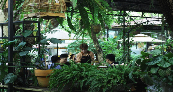 Có một quán cà phê sân vườn được ví như “Đà Lạt thu nhỏ” giữa lòng Thủ đô - Ảnh: Treeland Coffee