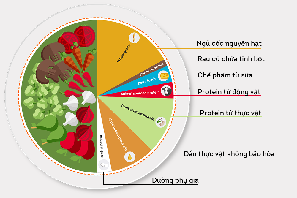 Minh họa chế độ ăn Sức khỏe Hành tinh (Planetary Health Diet) theo khuyến cáo của EAT-Lancet