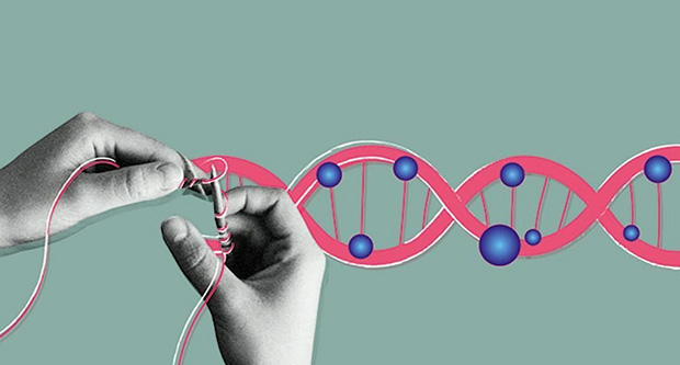 Ảnh minh hoạ quá trình Methyl hoá DNA