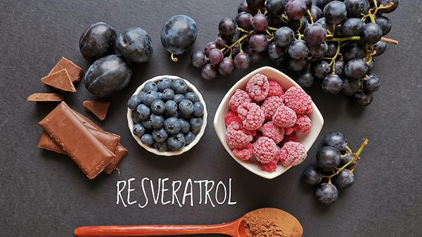 Chất chống oxy hóa resveratrol có nhiều lợi ích đối với sức khỏe não bộ