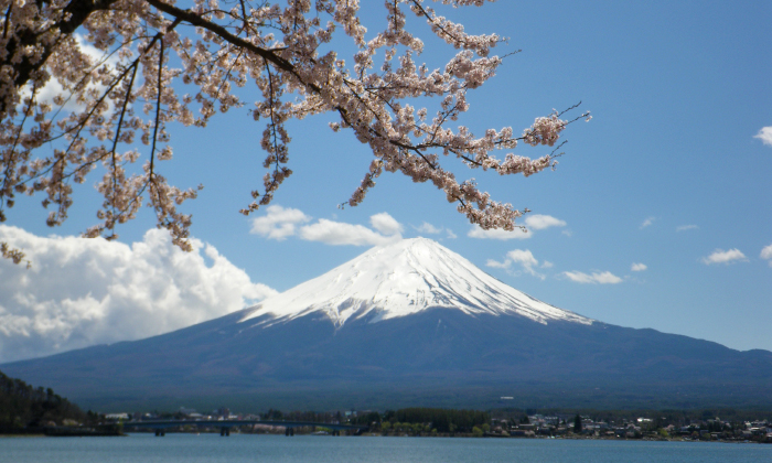 Núi Phú Sĩ nằm trong vườn quốc gia Fuji-Hakone-Izu. - Ảnh: Ministry of the Environment Government of Japan 