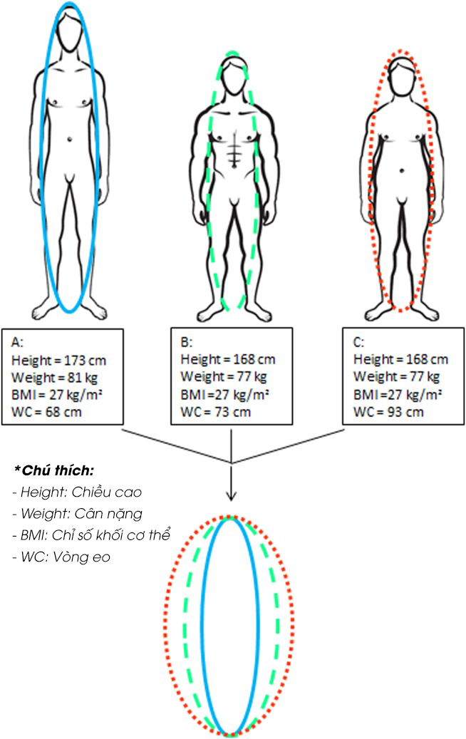 Ba cá nhân được mô tả khác nhau về kiểu cơ thể nhưng có cùng BMI. A: đối tượng cao và gầy, B: đối tượng có cơ bắp, C: đối tượng có tỷ lệ mỡ cơ thể cao nhất. Mặc dù BMI của họ giống nhau, nhưng các giá trị BRI tương ứng của họ lại phân biệt được các kiểu cơ thể của họ. - Ảnh: Shutterstock