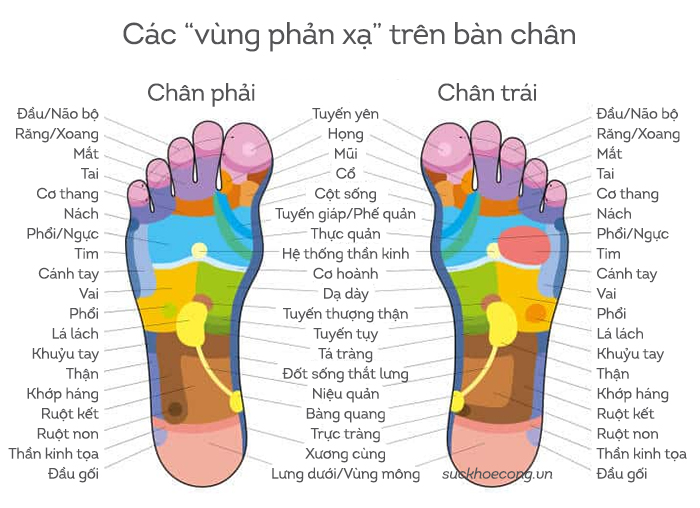 vung-phan-xa