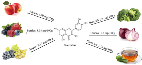 Các loại thực phẩm chứa nhiều flavonol quercetin 