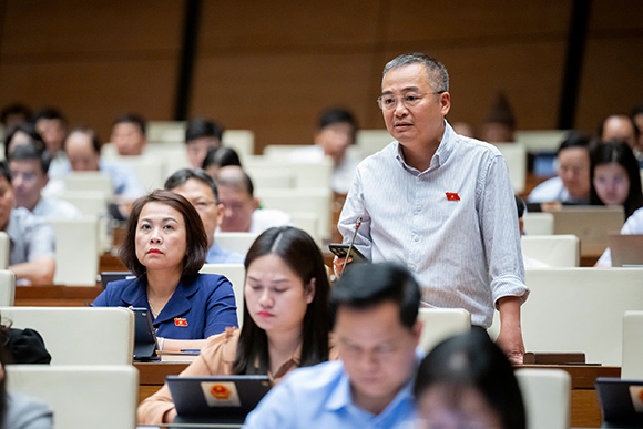 PGS.TS Nguyễn Lân Hiếu - Đại biểu Quốc hội tỉnh Bình Định - Ảnh: Quốc hội