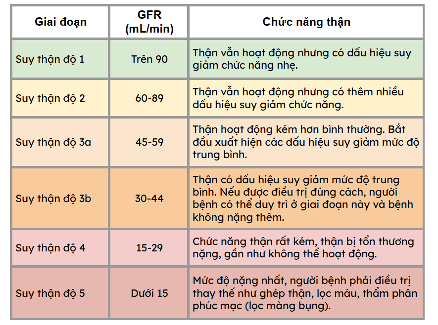 Bệnh suy thận được chia thành 5 phân độ dựa trên mức độ lọc cầu thận