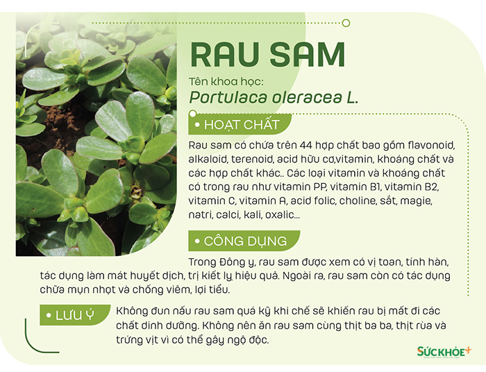 Để trị kiết lỵ do tà nhiệt với phân có máu, nên uống nước sắc rau sam hoặc ép lấy nước cốt tươi và uống với mật ong