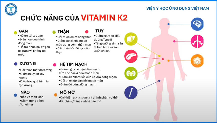 Chức năng của vitamin K2 - Viện Y học ứng dụng Việt Nam.