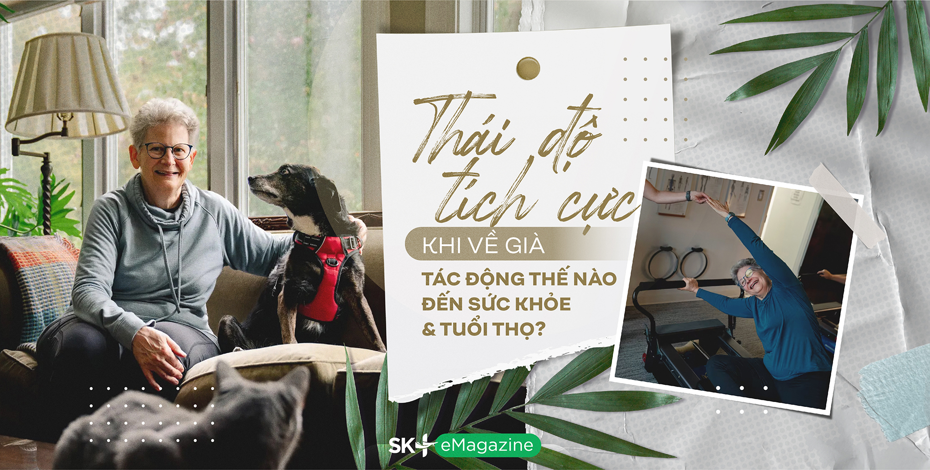 SK+ Thai do tich cuc khi ve gia-02