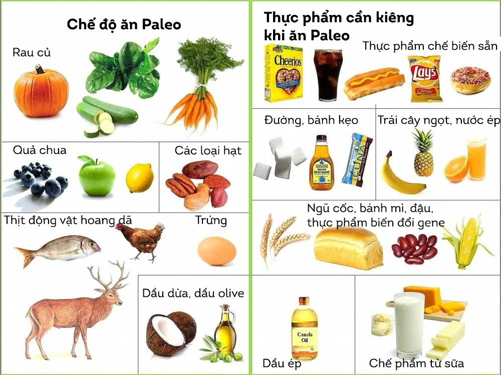 Người thực hiện chế độ ăn Paleo phỏng theo thực đơn ăn uống của con người thời tiền sử