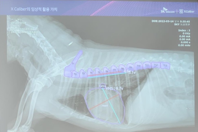 Trước đó, vào năm 2022, nền tảng X Calibre đã chẩn đoán bệnh cho cún dựa trên công nghệ AI của SK Telecom thông qua ảnh chụp X-quang - Ảnh: Yonhap.