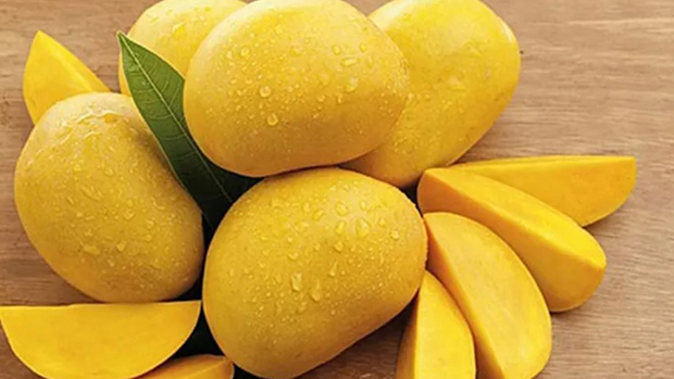 8 thực phẩm giàu vitamin E tốt cho sức khỏe - Ảnh 7